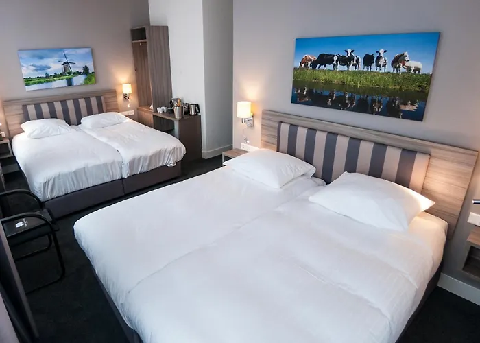 Fine Harmony Amsterdam