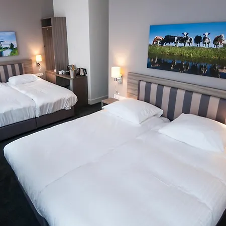 Fine Harmony أمستردام